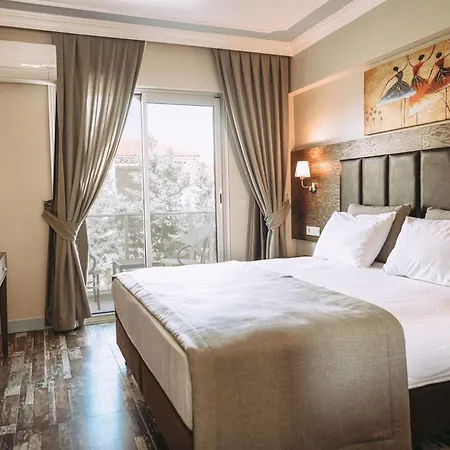 Venezia 호텔 알라카티